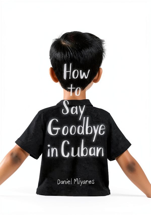 Anne Schwartz Books Childrens Immigration Story Kindle-0