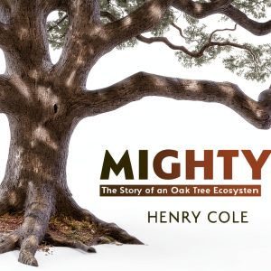 Peachtree Publishing Childrens Forest Tree Book English-0