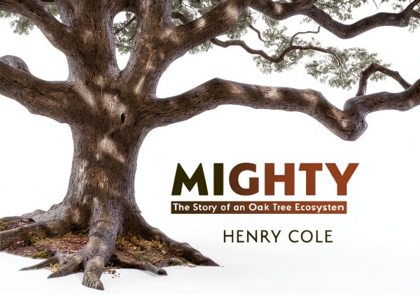 Peachtree Publishing Childrens Forest Tree Book English-0