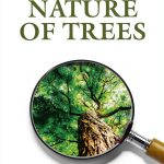 LABYbooks Childrens Forest Tree Book English Kindle Edition-0