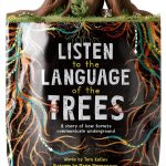 Dawn Publications Childrens Forest Tree Book English Kindle-0